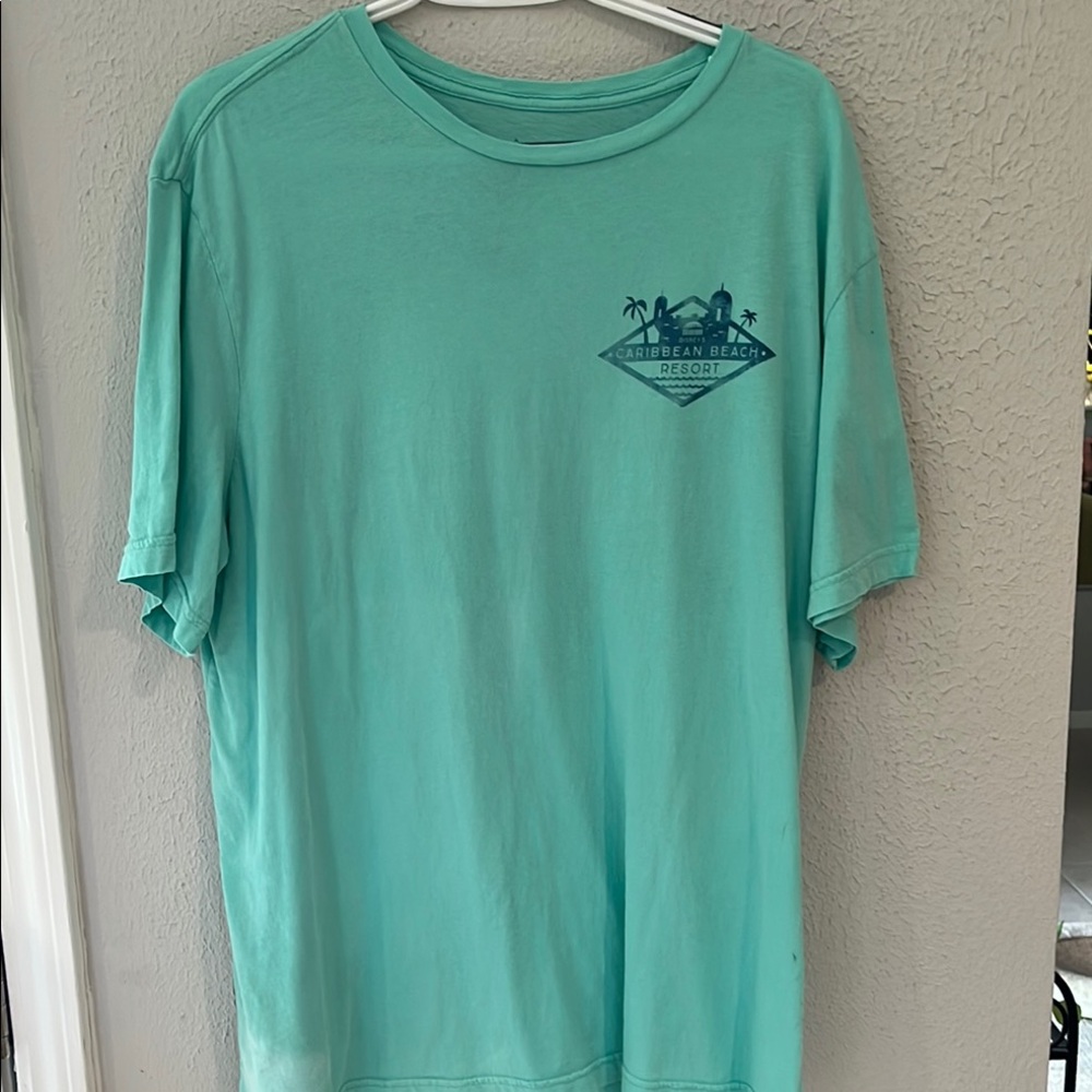 Disney Parks Authentic Tee size Large, color: mint green.  100% cotton
